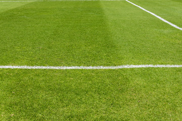 Corner of football field. green grass