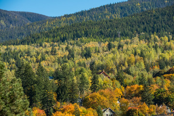 houses built in the slope of mountain covered with fall leaves under the blue sky