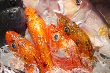 Obraz na płótnie Canvas Taiwan's famous seafood restaurant, fresh seafood on the freezer, a variety of fish