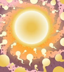 ovule and sperm pregnancy