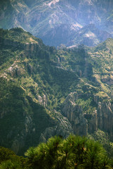 Landscape in Barranca del Cobre