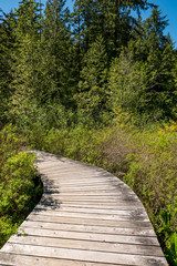curved wooden path in the park under the sun