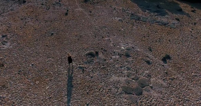 Aerial shot over Giara di Gesturi landscape on a beautiful day with girl waking in view