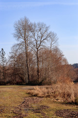 brown winter park bank