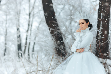Fototapeta na wymiar Beautiful Ice Queen in Winter Wonderland