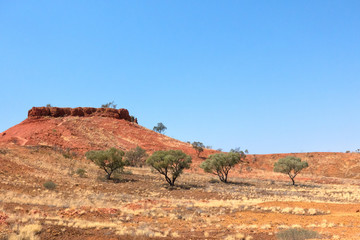 Shrubs and red hill in Outback Queensland