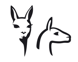 Vicuna Head illustration © master24