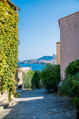 Naklejka premium Collioure, côte vermeille, Occitanie, France;