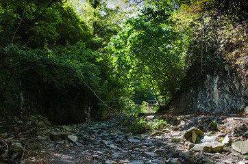 Mamed gorge on the Black Sea coast of Russia