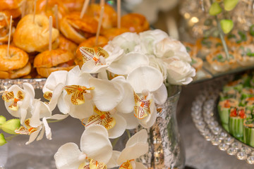 Persian finger food and dessert 