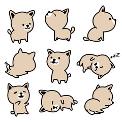 Dog breed french bulldog Puppy vector illustrations brown set C