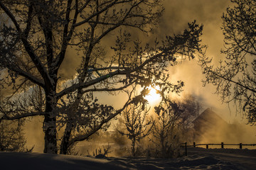 Fototapeta premium amazing landscape with frozen snow covered trees and fence with house on background 