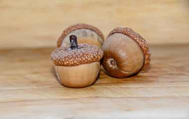Acorns with shells standing on wood background, oak nuts, close up