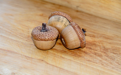 Acorns with shells standing on wood background, oak nuts, close up © Negoi Cristian