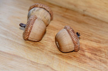 Acorns with shells standing on wood background, oak nuts, close up