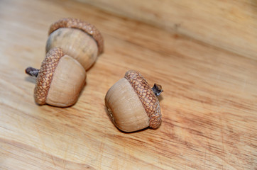 Acorns with shells standing on wood background, oak nuts, close up