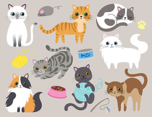 Cute kitty cat vector illustration set with different cat breeds, toys, and food. - Powered by Adobe