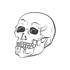 Hipster skull vector illustration. Hand Drawn symbol