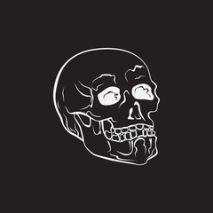Hipster skull vector illustration. Hand Drawn symbol