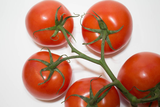 Tomatoes on the Vine 2