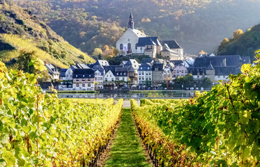 Blick durch Herbstfarbene Weinstöcke, über die Mosel nach Beilstein. © motivthueringen8