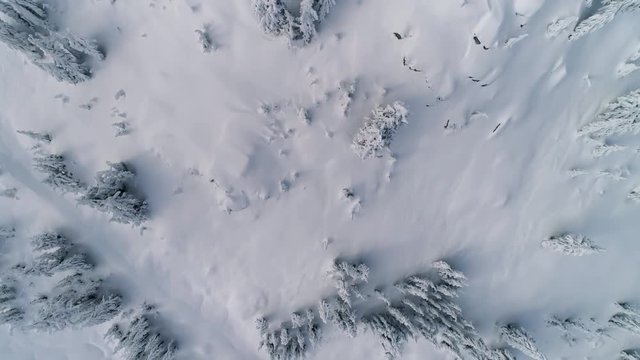 Moody Powder Snow Aerial Overhead Simple Mountain Trees and Cliffs