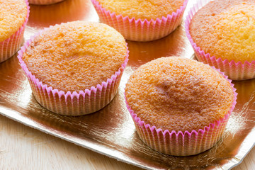 Sweet donuts with icing sugar