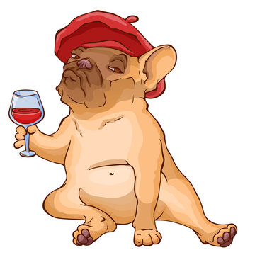 French bulldog in red beret sitting with a glass of red wine. Cartoon vector character.