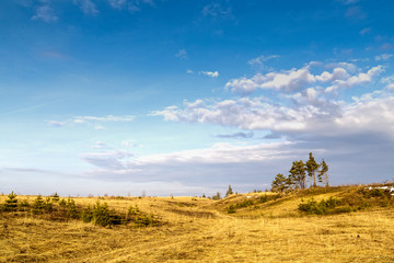 Fototapeta premium Gloomy sky over field and forest.