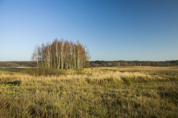 Dry meadows and coppice in autumn