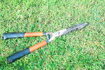 Fototapeta premium Grass shears on the green grass,background