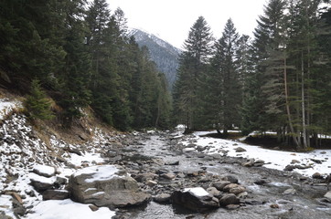 Obraz premium Vallée du Rioumajou, hautes Pyrénées françaises