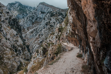 Mountains of the Picos de Europa, on the Cares route. Asturias, Spain