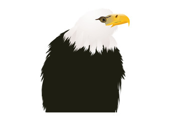 Eagle - head - isolated on white background - art illustration creative abstract vector