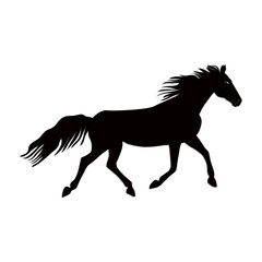 Sketch - Running Horse with developing mane - isolated on white background - art vector