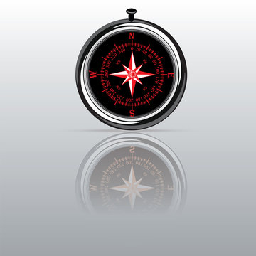 Compass with mirror image - chrome-plated - isolated on white background - vector art illustration