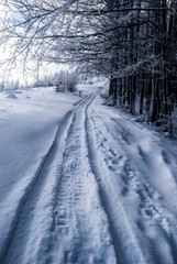 winter landscape with snow, hiking trail and frozen trees