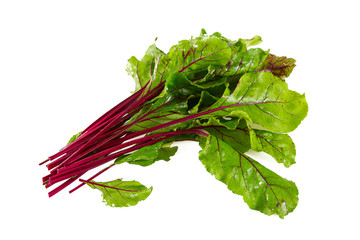 beetroot leafs isoalted on white