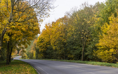 Automne_02