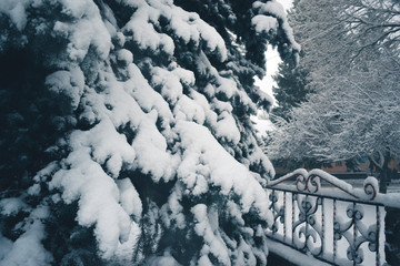 Winter day in a snowfall in the town.