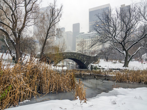 Gapstow bridge Central Park, New York City