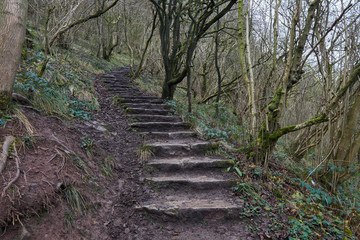 Stairway to Thor's cave .