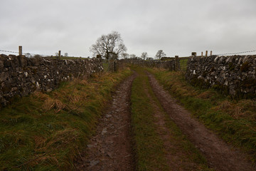 Country road in autumn .