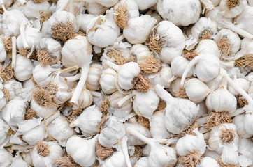 White garlic pile texture. Fresh garlic on market table closeup photo. Vitamin healthy food spice image. Spicy cooking ingredient picture. Pile of white garlic heads. White garlic head heap top view