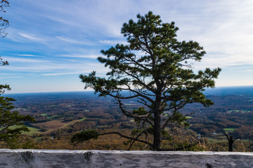 Obraz premium Pilot Mountain