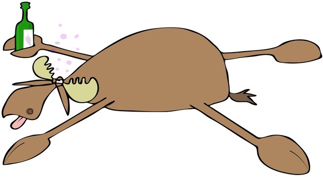 Illustration of a drunken bull moose spread eagle on the ground and holding a bottle of wine.