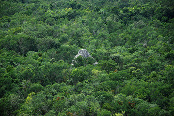 Fototapeta premium Landscape in Chiapas