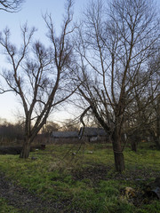 rural landscape