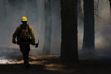 Guardia Forestale