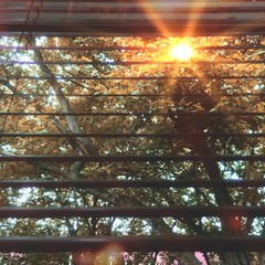 Sun is shining - part two